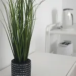 Palmeira Comfort Aveiro