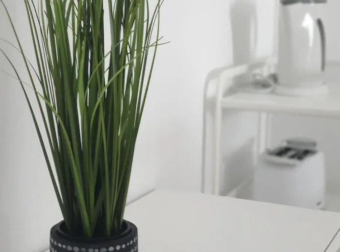 Palmeira Comfort Aveiro